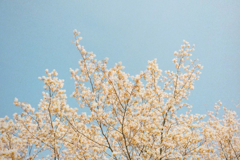 Relazioni e connessioni cover
