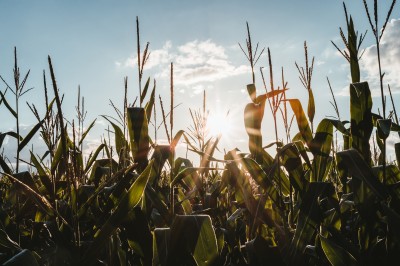 Ci vuole una seconda Riforma Agraria cover