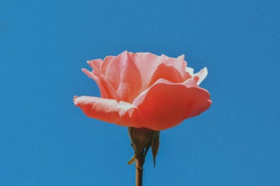 «L’educazione è la chiave», conversazione con Kristina Kallas cover
