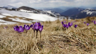 cheFare dal vivo nel mese di marzo cover