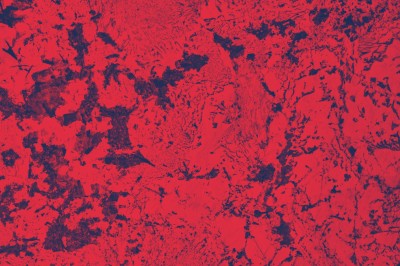 Chi sono gli Young Service Designers? cover
