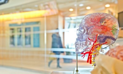 Cosa spinge le persone a diffidare della scienza? cover