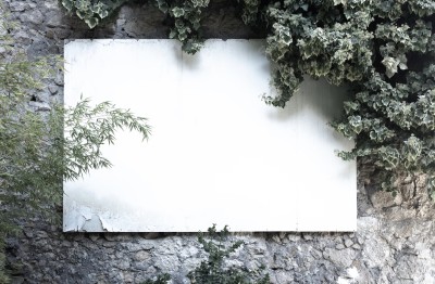 Fare fundraising funziona? L'esempio di FARM cover