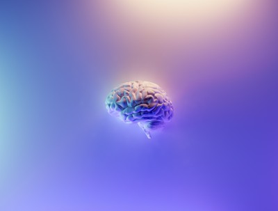 MIT Press annuncia la Open Encyclopedia of Cognitive Science cover