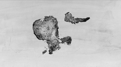 I primi a crollare: cronache dalle Solovki, le isole-Gulag che hanno distrutto e riscoperto l'uomo cover
