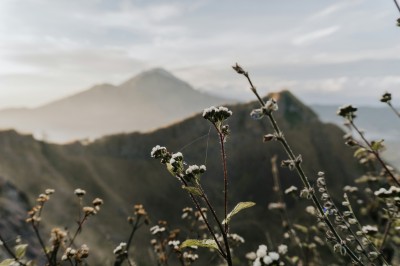 La Costituzione dell'Ecuador ha forgiato i diritti Fondamentali della Natura cover