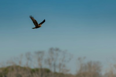 Arrampicata e ambiente: trovare l'equilibrio, non solo in parete cover