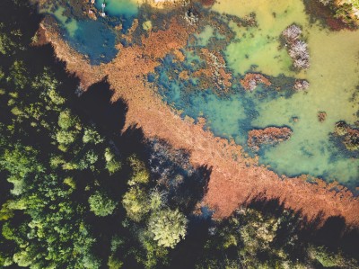 Ecologia come pratica dell'attenzione cover
