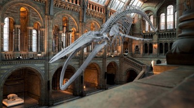 5 aziende innovative per costruire i musei del futuro cover