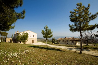 Chi è la persona giusta per raccontare Pollinaria a Civitella Casanova cover