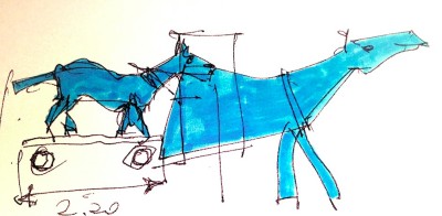 Un messaggio chiamato cavallo: i matti siamo noi cover