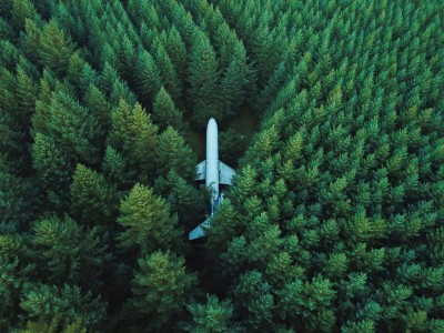 Per esempio: quanto vale un bosco? cover