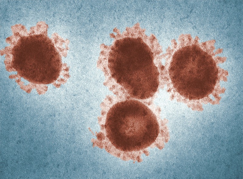 Il Covid-19 non è solo un virus, ma un oggetto culturale e politico cover